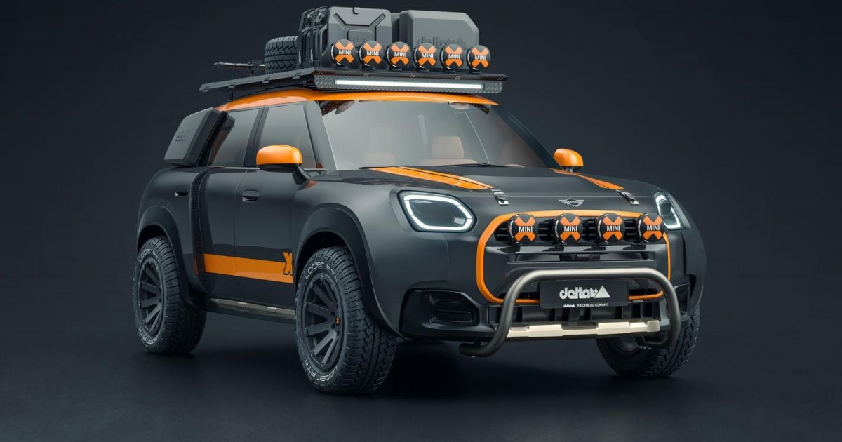 Mini compatriota ‘bestial’ come dunas de areia no café da manhã