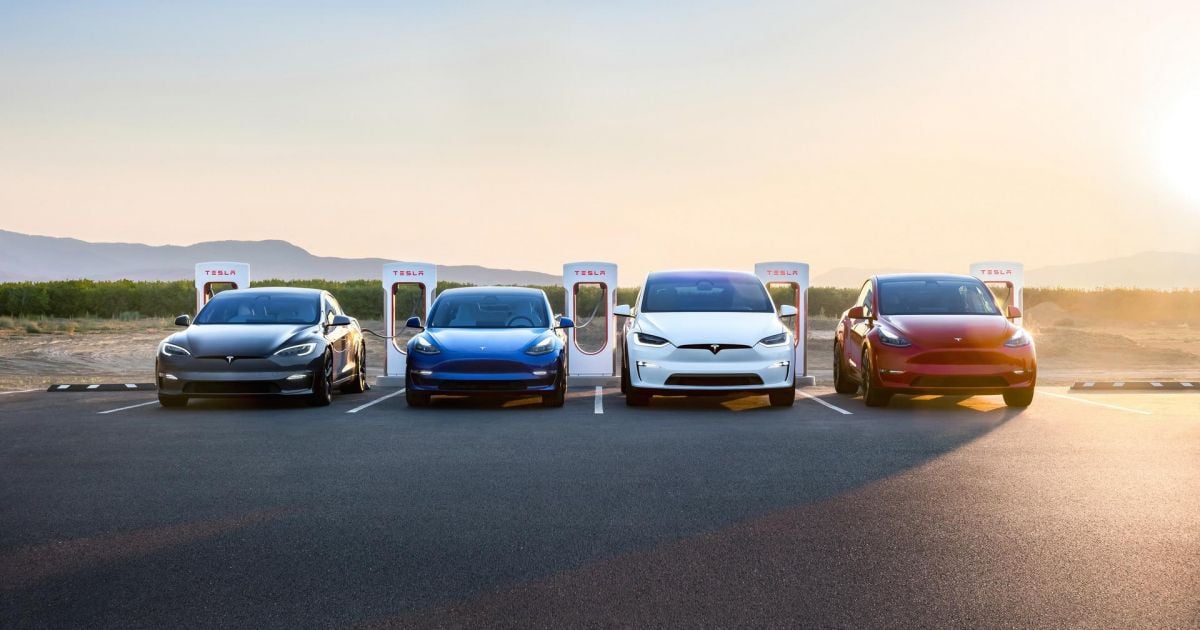 Tesla nega planos ‘absolutamente falsos’ de substituir Musk