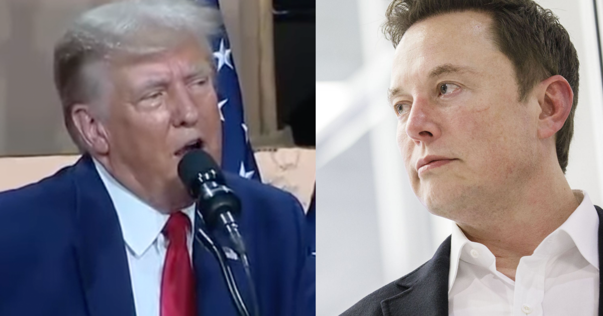 Tesla compartilha a queda depois que Elon Musk anuncia um novo partido político