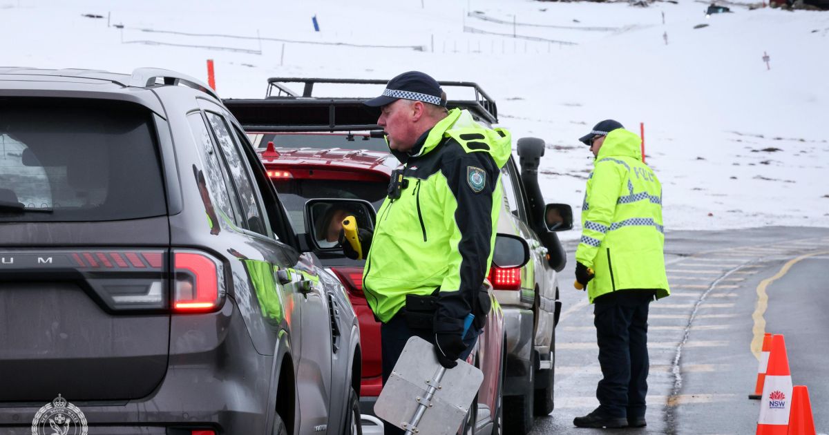 A Polícia de NSW emite mais de 1500 violações de tráfego para coelhos de neve